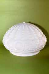 Plafón rosas