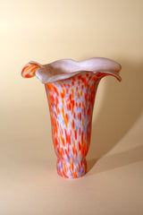 Tulipa Modernista
