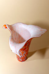 Tulipa Modernista