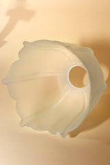 Tulipa Paraguas